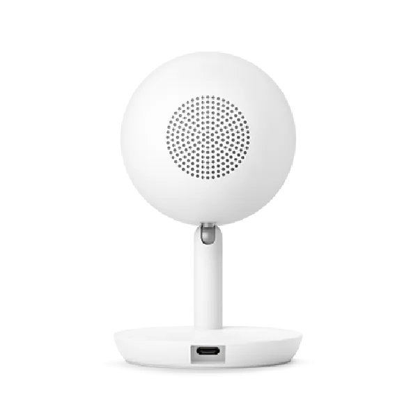 Nest Cam IQ